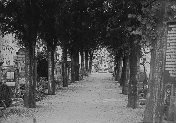FGLP_0205  Alter Friedhof, Jahnstrae